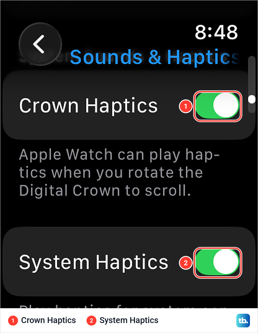 Apple Watch Sounds and Haptics page with Crown Haptics and System Haptics switched on.