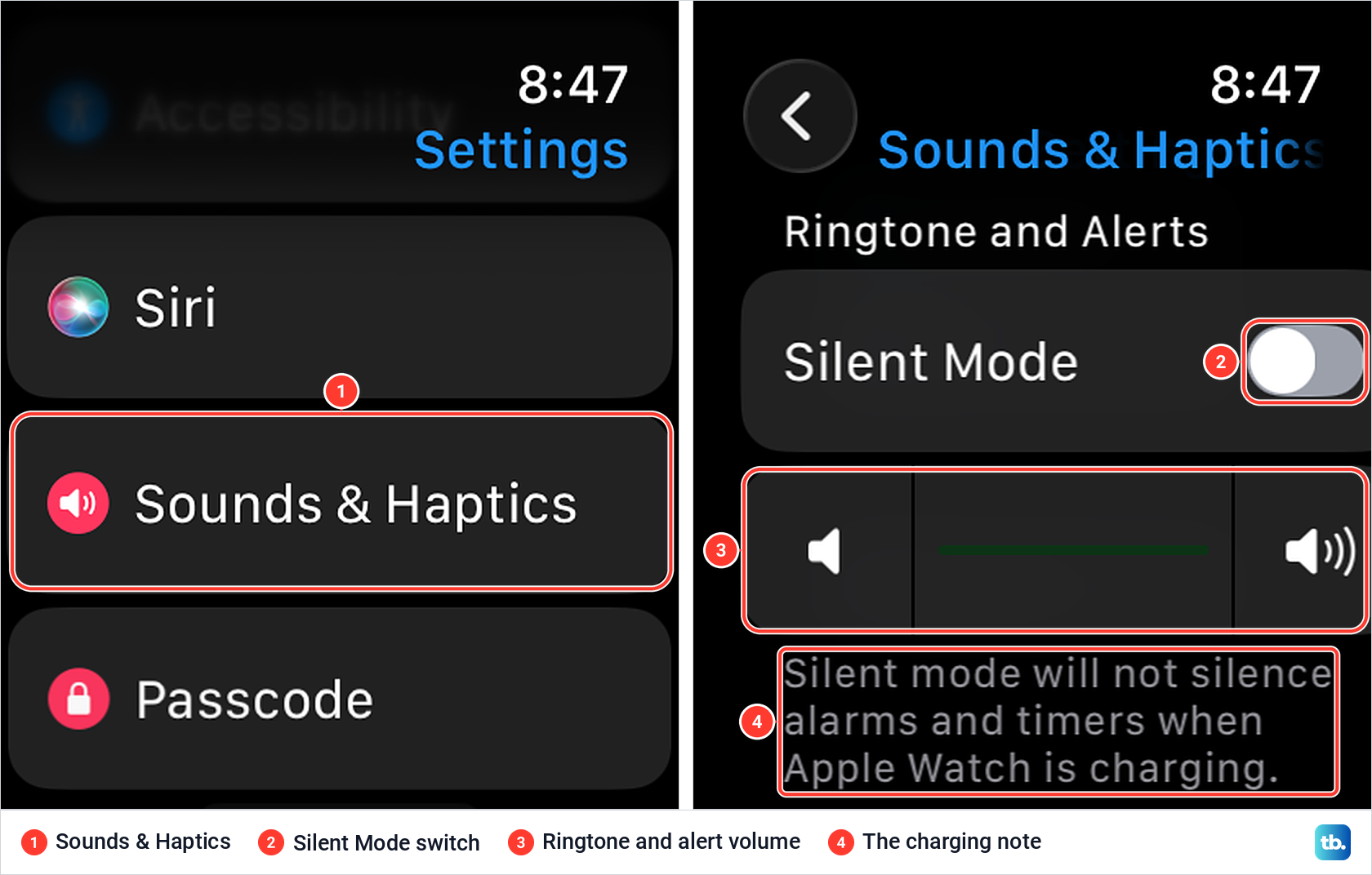 Apple Watch Settings with Sounds and Haptics, then the Silent Mode switch, volume slider and charging note.