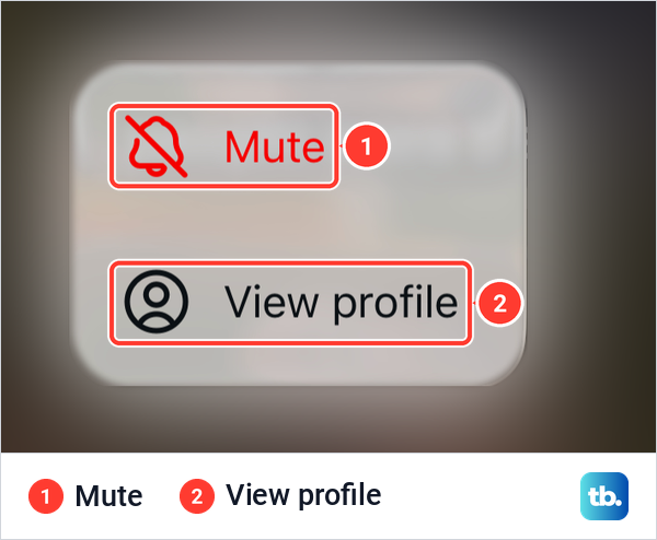 The menu that appears after touching and holding a story ring on Instagram, with Mute and View profile.