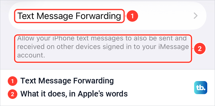 The Text Message Forwarding row in iPhone Messages settings with its description.