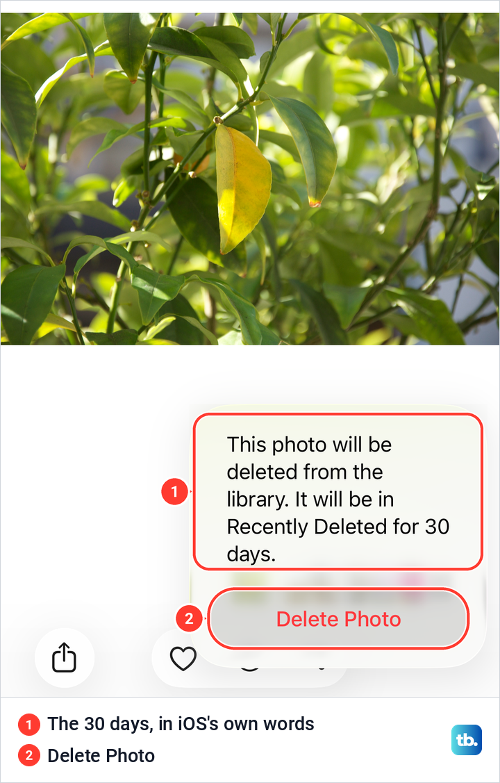 The iPhone delete confirmation saying the photo will be in Recently Deleted for 30 days.