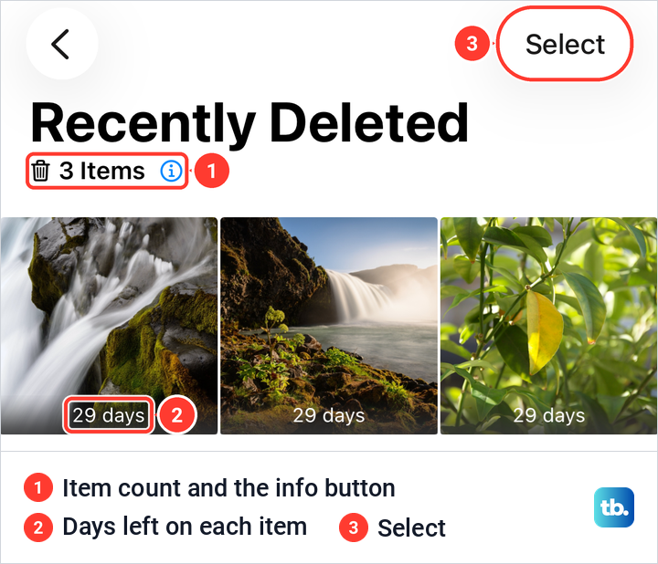 The unlocked Recently Deleted album on iPhone showing three photos, each labelled 29 days.