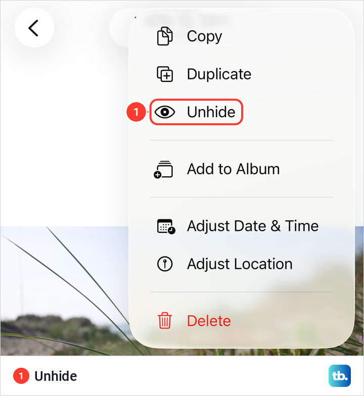 The More menu of a hidden photo on iPhone with Copy, Duplicate, Unhide and Delete.