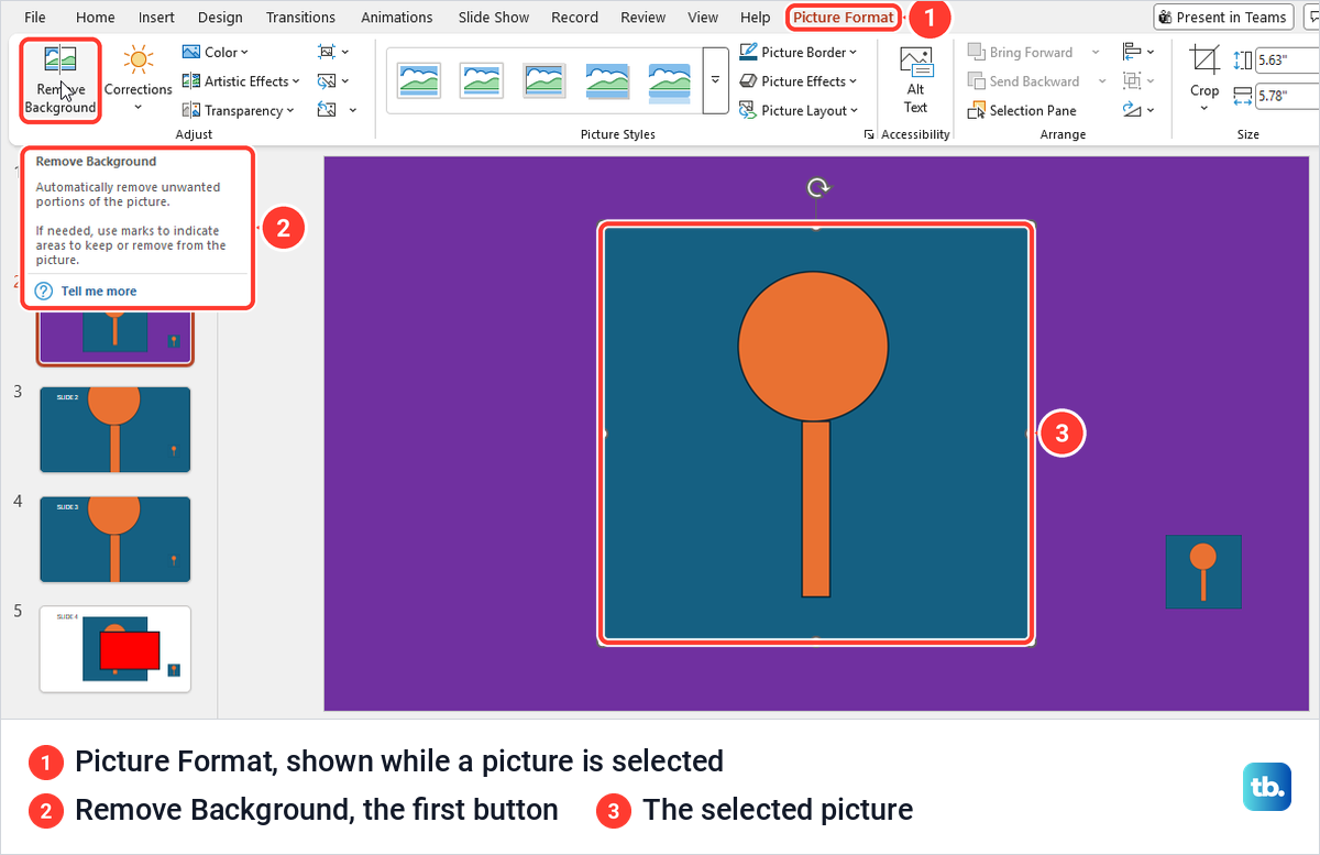 PowerPoint Picture Format tab with the Remove Background button and its tooltip above a selected picture