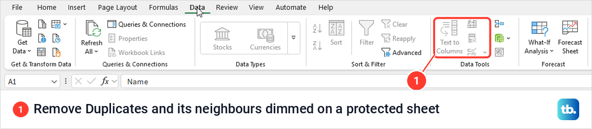 Excel Data tab on a protected sheet with Remove Duplicates, Text to Columns, Flash Fill and Data Validation dimmed.