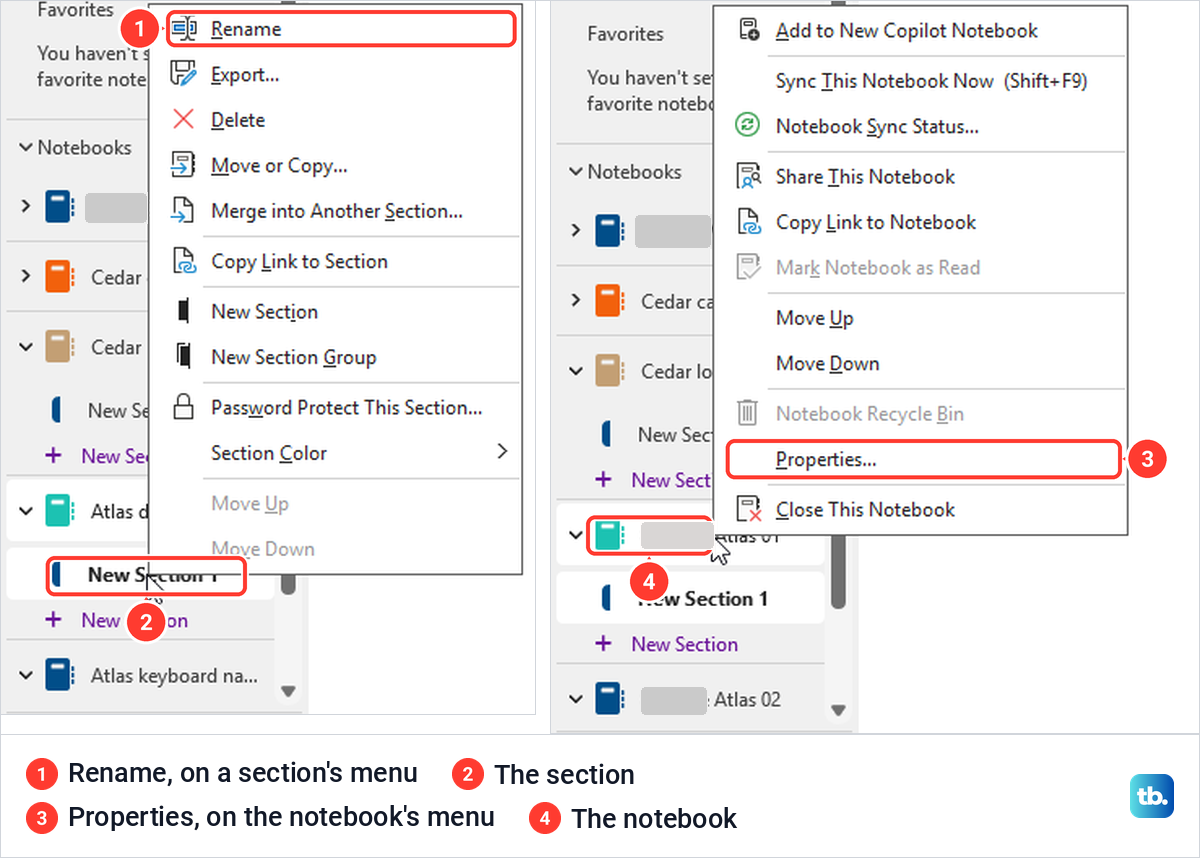 OneNote for Windows right-click menus, Rename on a section and Properties on a notebook.
