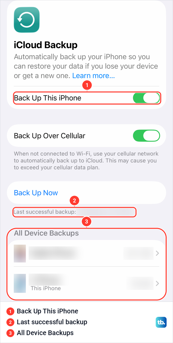 The iPhone iCloud Backup page with Back Up This iPhone, the last successful backup line and All Device Backups.