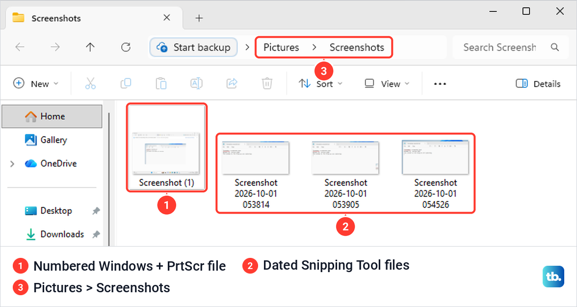 Screenshots folder with numbered and dated screenshot file names