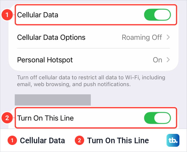 Top of the Cellular settings on an iPhone 18 Pro Max with a Cellular Data switch, Cellular Data Options, Personal Hotspot and, under a covered header, a Turn On This Line switch