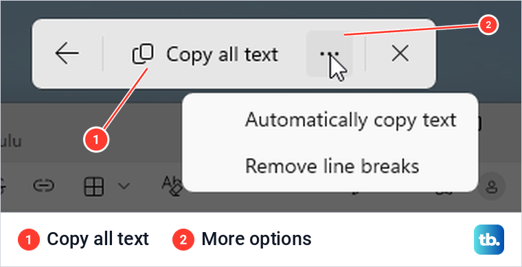 Text extractor toolbar with Copy all text and the More options menu open