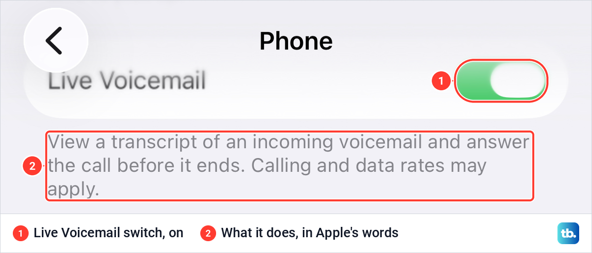 The Live Voicemail switch turned on in iPhone Phone settings, with its description.