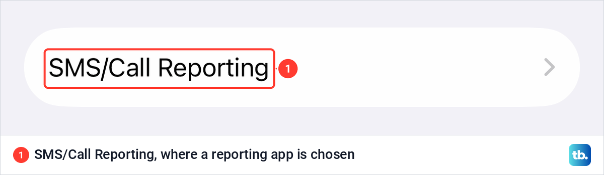 The SMS/Call Reporting row in iPhone Phone settings, below Call Filtering.