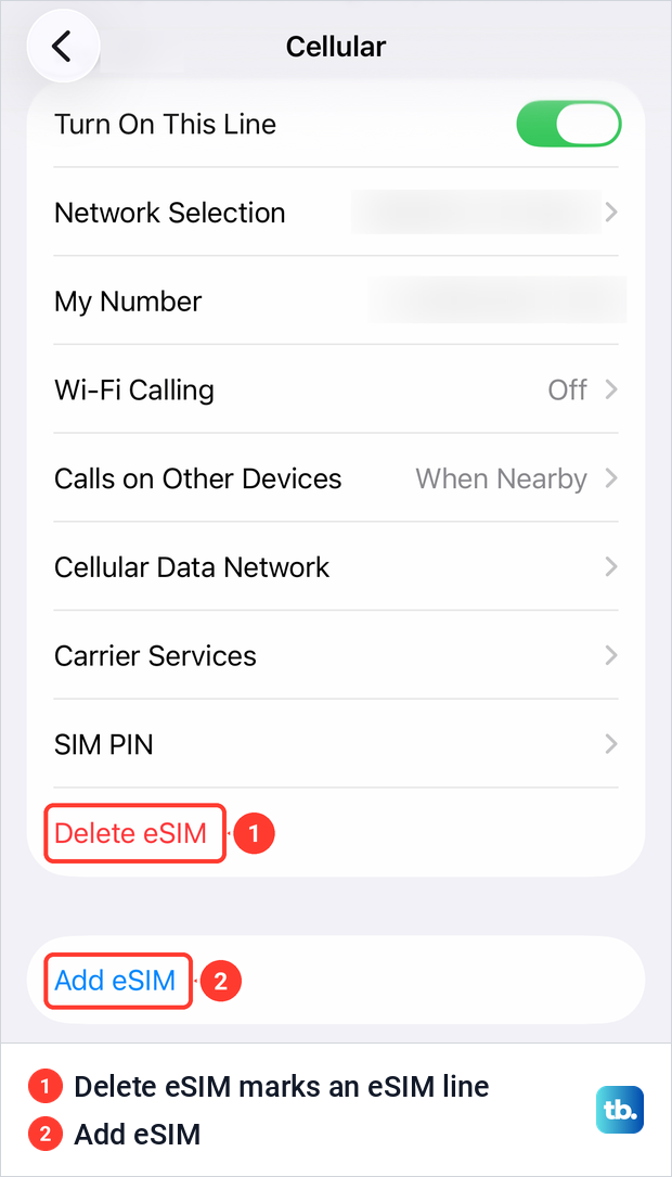 iPhone Cellular settings with an active eSIM line, the Delete eSIM row and Add eSIM below it.