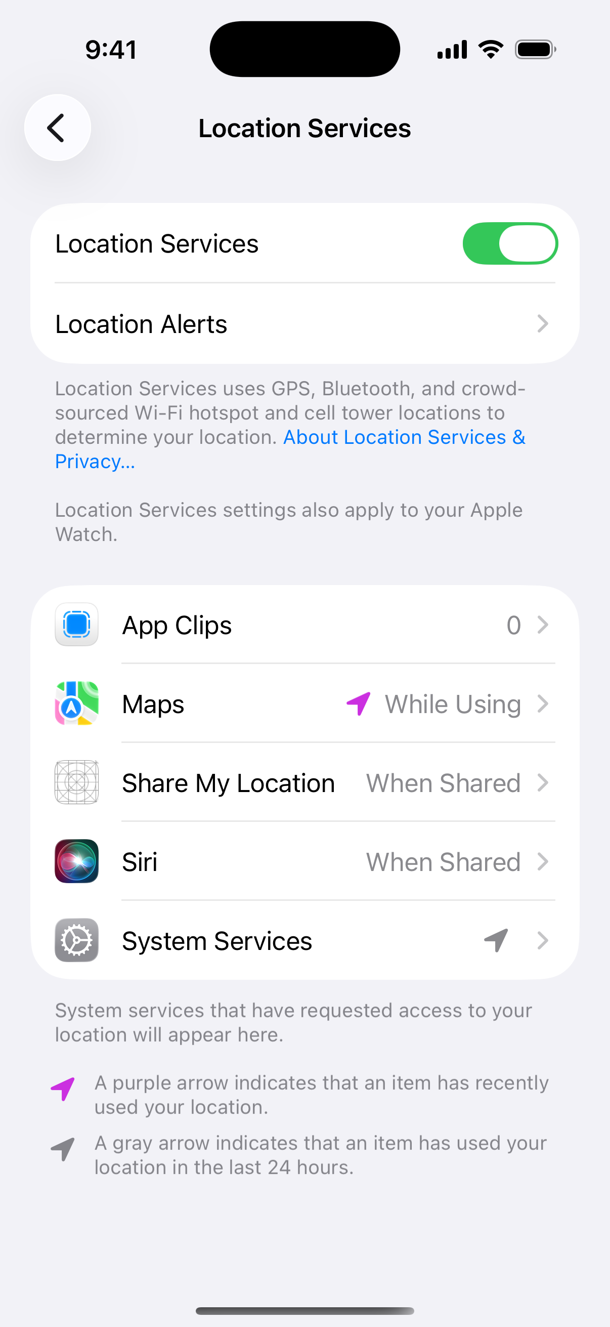 iPhone Location Services screen with the main switch, Maps set to While Using, Share My Location and System Services