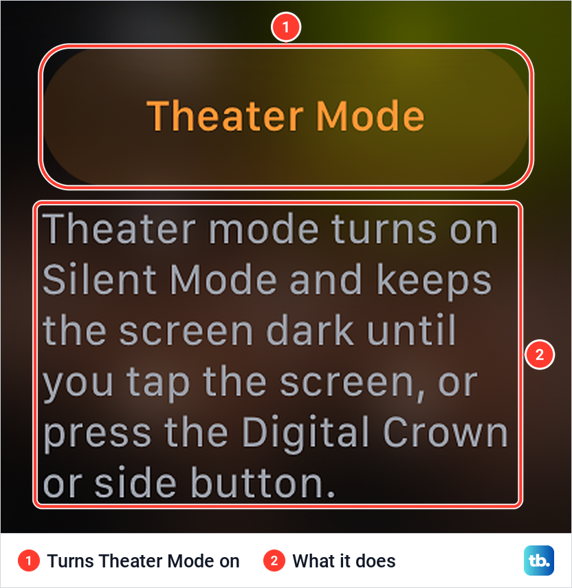Apple Watch Theater Mode explanation screen with the Theater Mode button and its description.