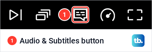 Right end of the Netflix web player control bar with the speech-bubble Audio and Subtitles button.