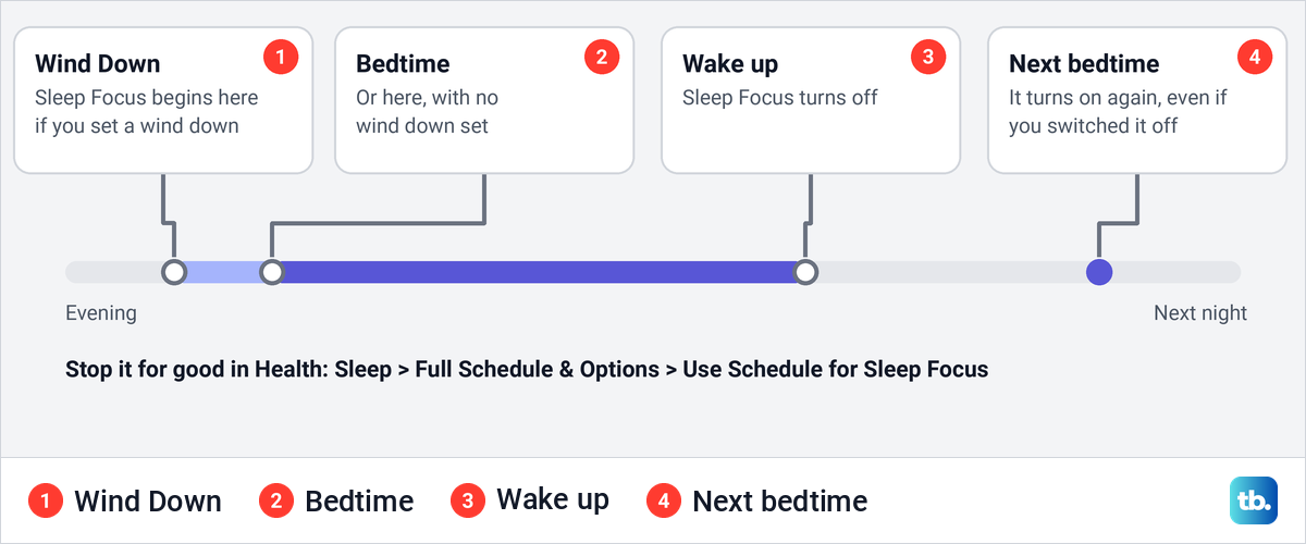Timeline of one night showing when Sleep Focus turns on and off by itself on iPhone.