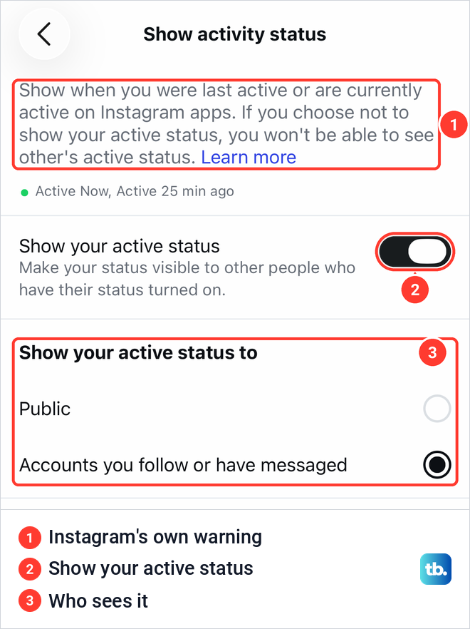 Instagram Show activity status screen with the switch on and the Public or Accounts you follow or have messaged choice.