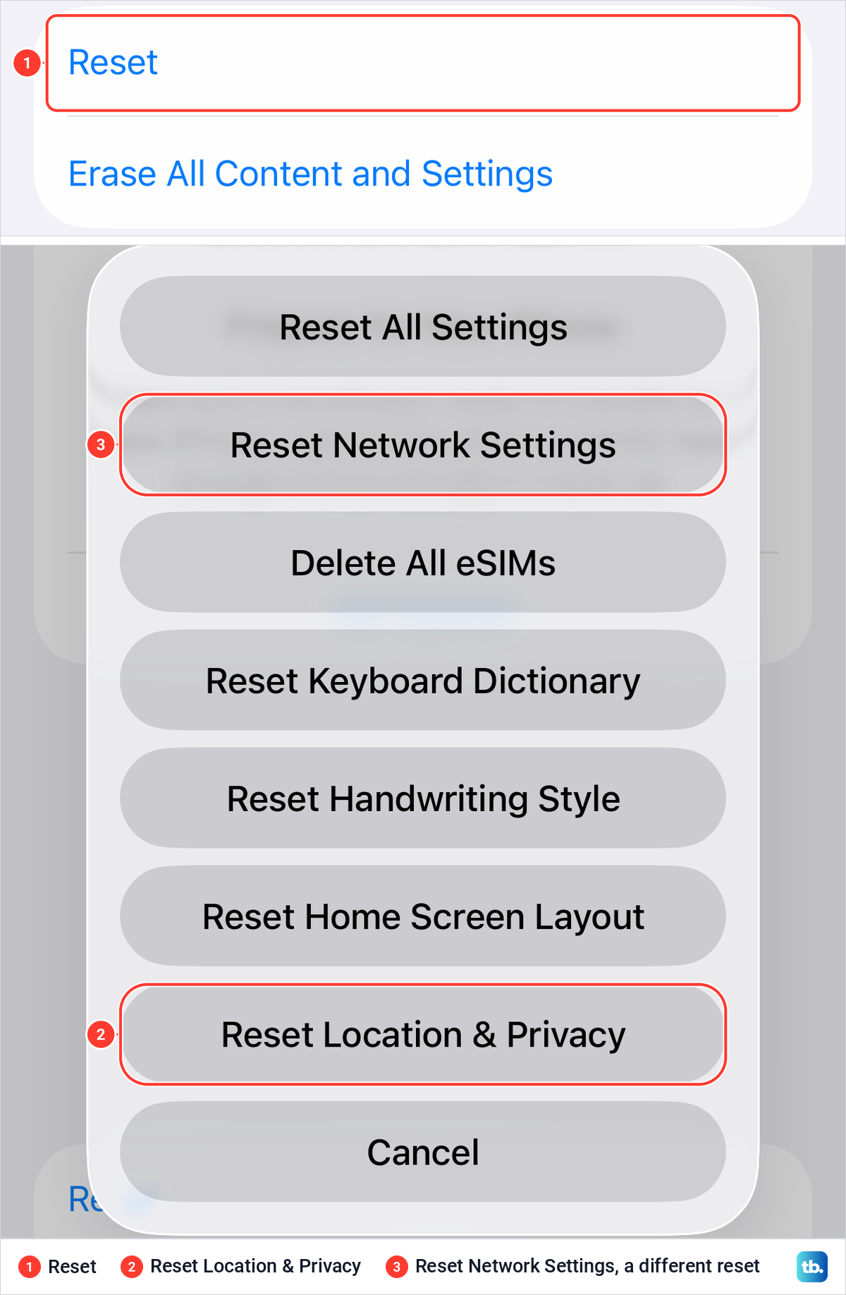 The iPhone Transfer or Reset page and its Reset sheet with Reset Location and Privacy highlighted.