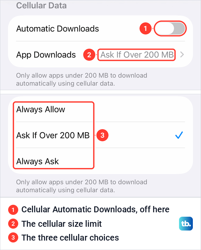 The Cellular Data group on the iPhone App Store settings page and the three App Downloads choices for cellular data.