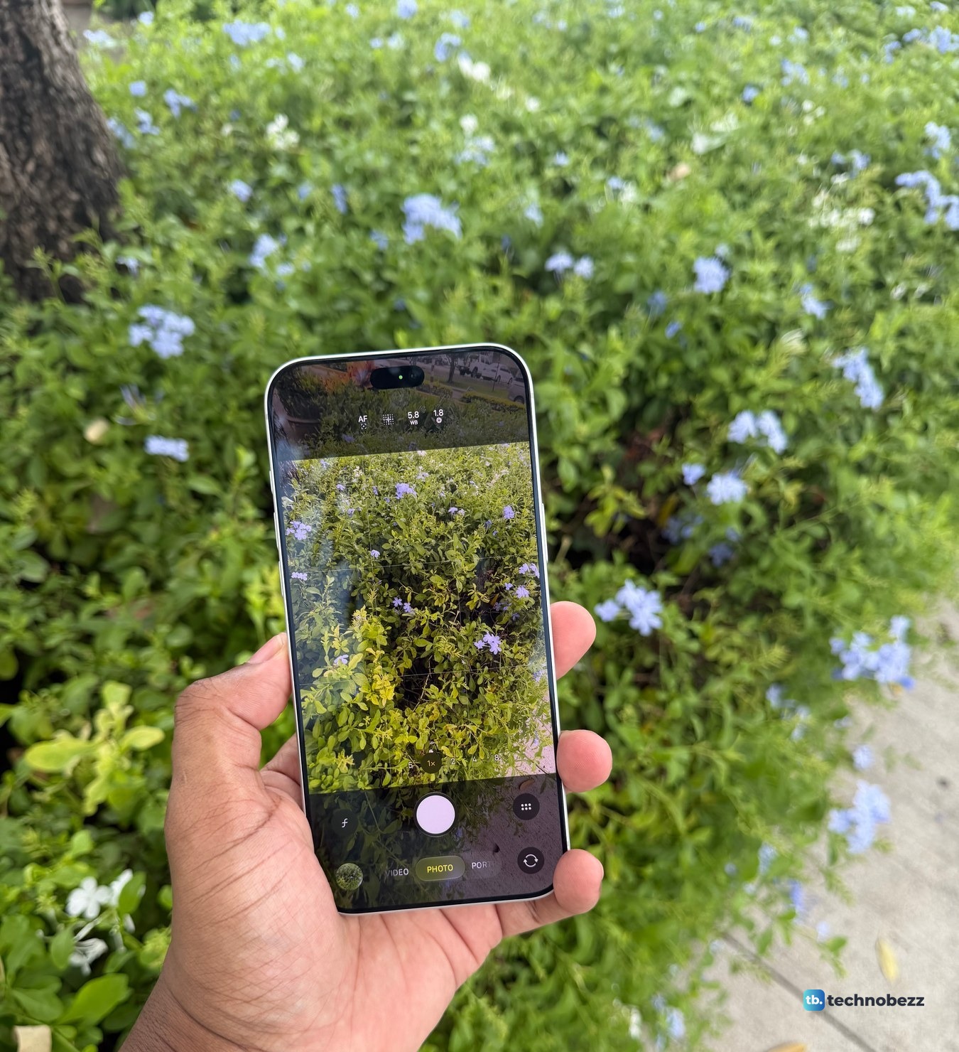 A silver iPhone 18 Pro Max held up in front of a flowering hedge with the Camera app open and the hedge in the viewfinder