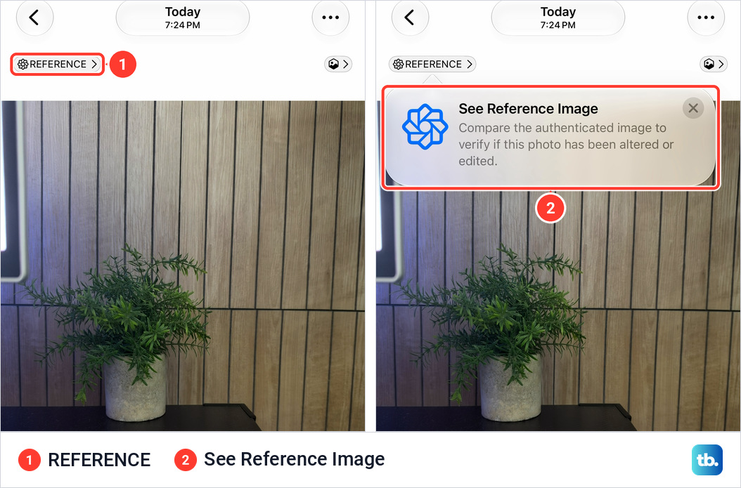A photo of a plant open in Photos with a REFERENCE badge at the top left, and the same screen with a tip titled See Reference Image under the badge