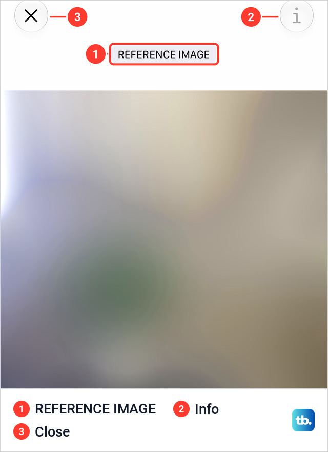 The Reference Image view in Photos with a blurred picture, a close button at the top left and a grayed out i button at the top right