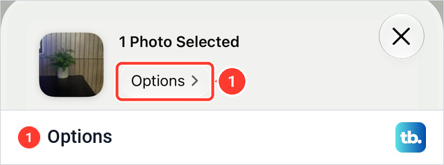 The top of the share sheet in Photos with a thumbnail of the photo, the line 1 Photo Selected and an Options button