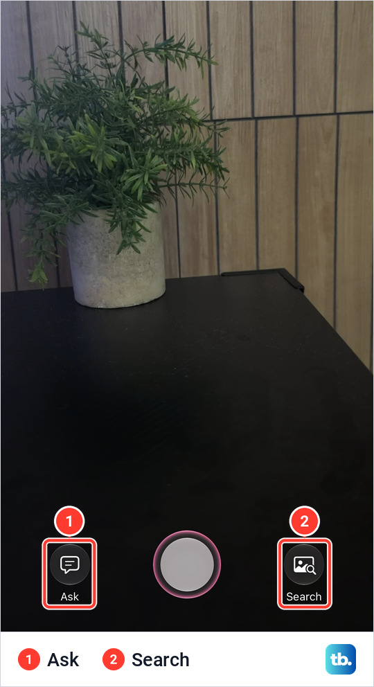 Visual Intelligence on an iPhone 18 Pro Max pointed at a potted plant, with Ask at the bottom left, a round shutter in the middle and Search at the bottom right