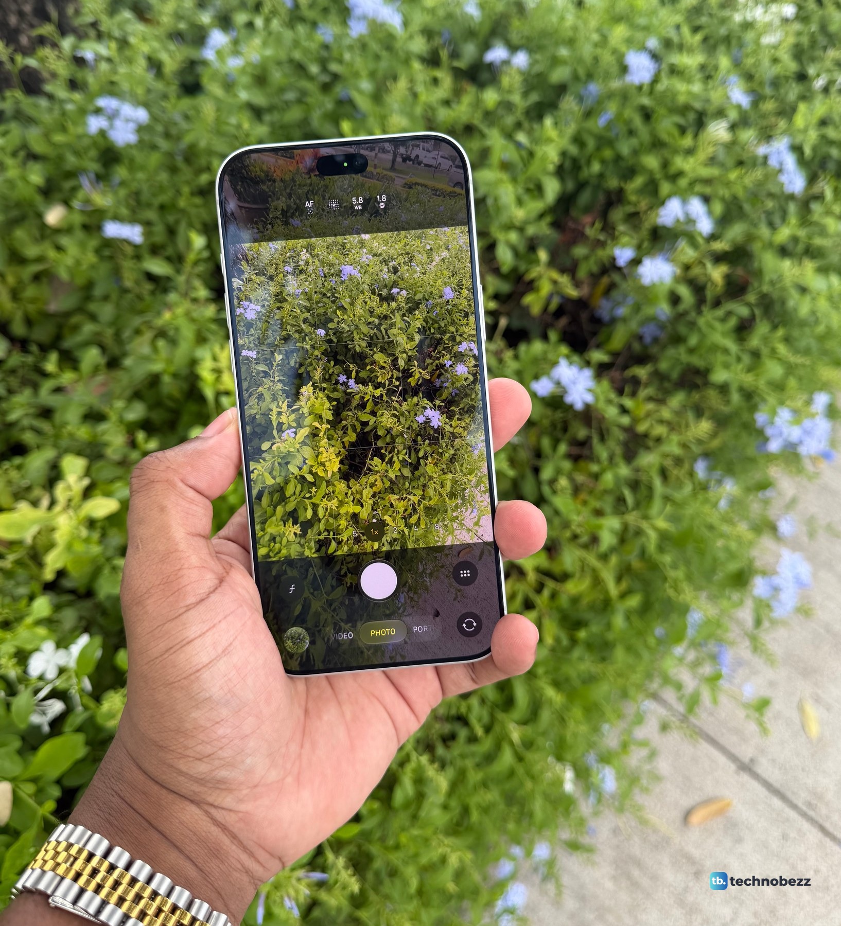 Hand holding an iPhone 18 Pro Max with the Camera app open in Photo mode, pointed at a hedge with blue flowers