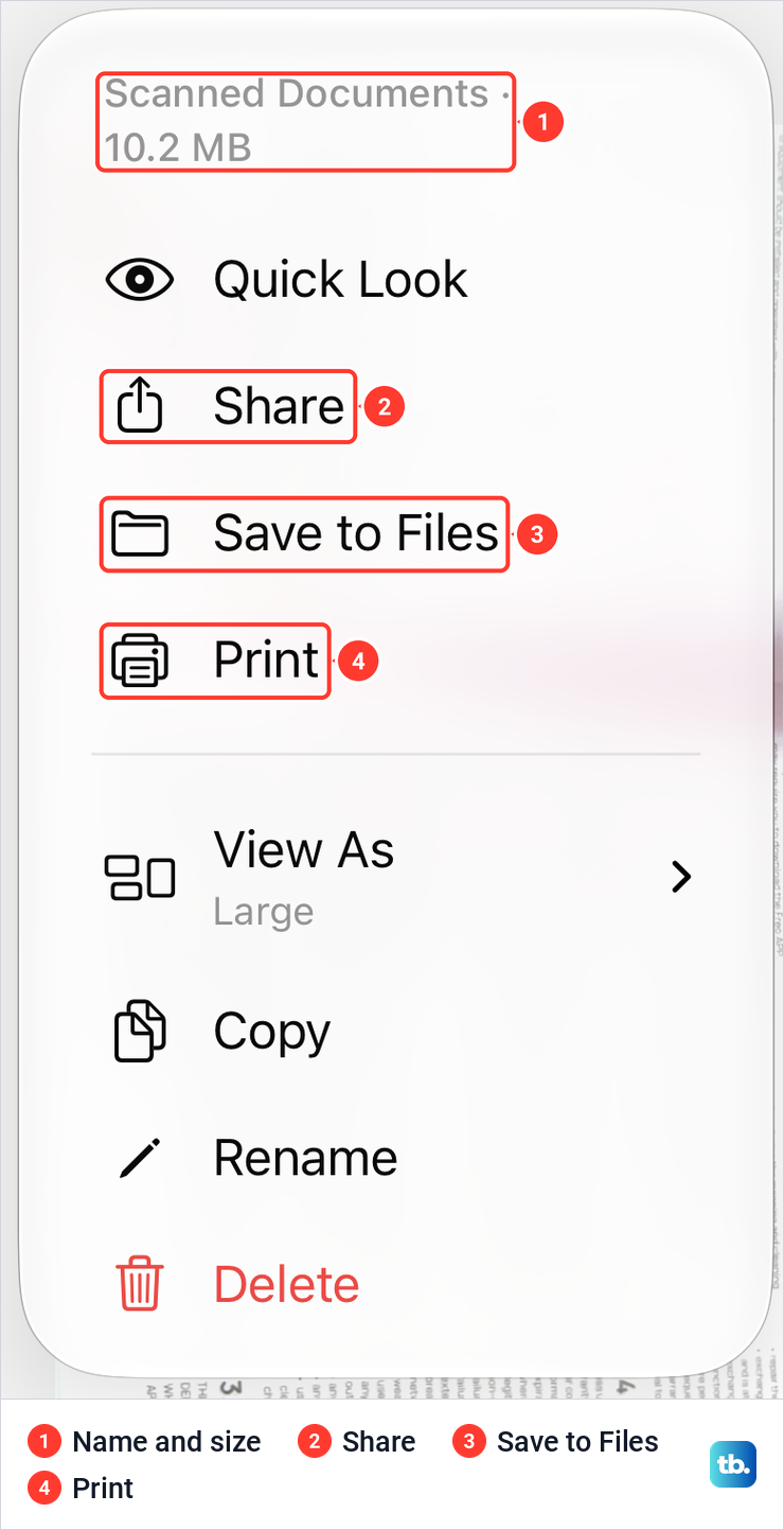 The menu for a scan in iPhone Notes showing its 10.2 MB size, Share, Save to Files and Print.
