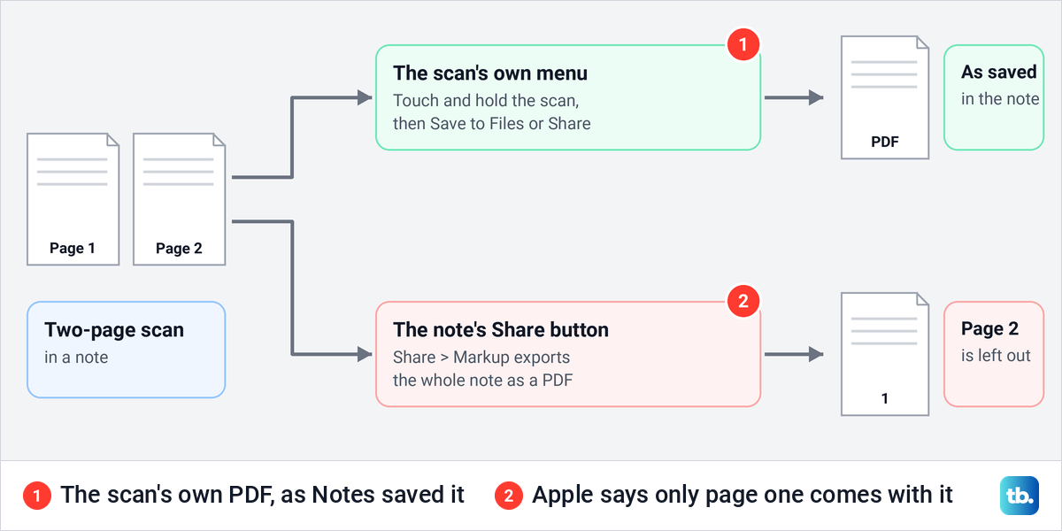 Diagram of two ways to get a scan out of Notes, the scan's own menu and the note's Share button.
