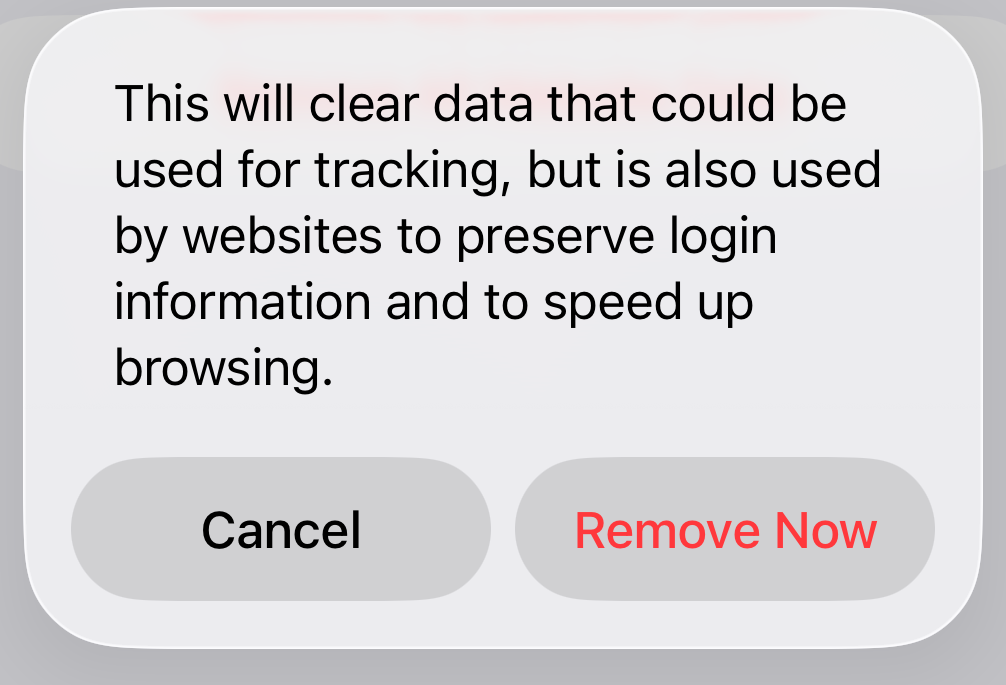 Safari Website Data screen with the Remove Now confirmation