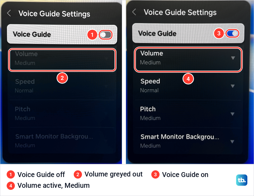 Two Samsung Voice Guide Settings screens side by side, with Voice Guide off and its options greyed, then on with them active.
