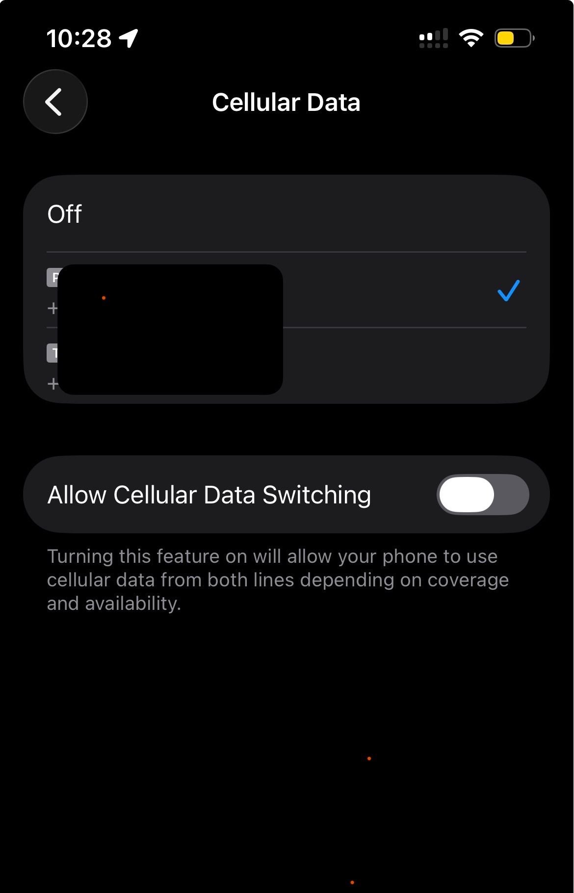 iphone-technobezz.com_cellular_data.jpg