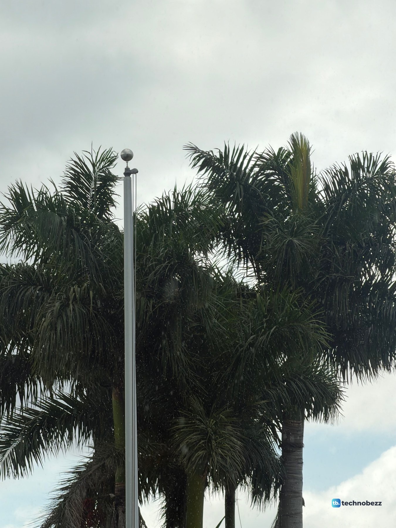 Dark palm trees and a bare flagpole against a bright overcast sky