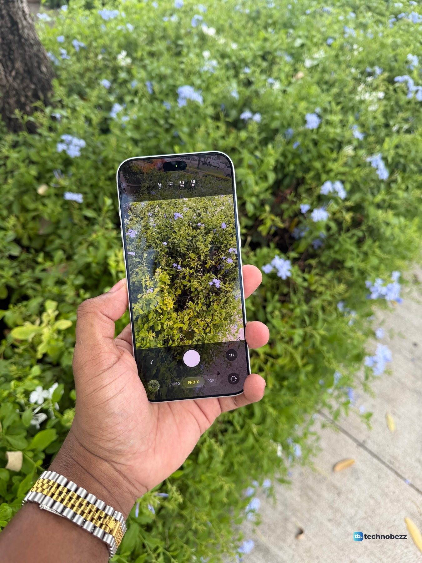 iPhone 18 Pro Max held up in one hand with the Camera app open, framing a hedge with blue flowers