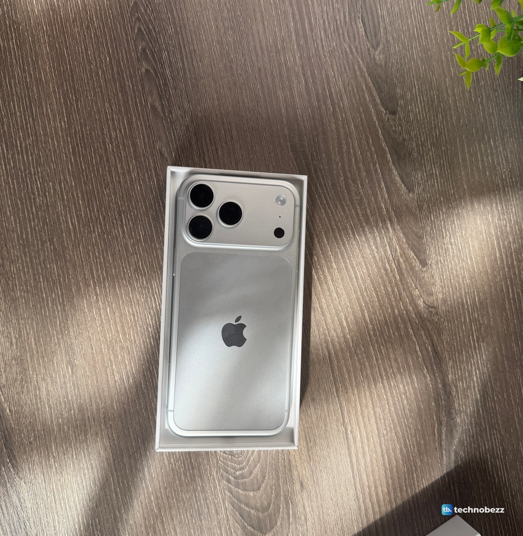 Top-down view of the back of the silver iPhone 18 Pro Max sitting in its box tray