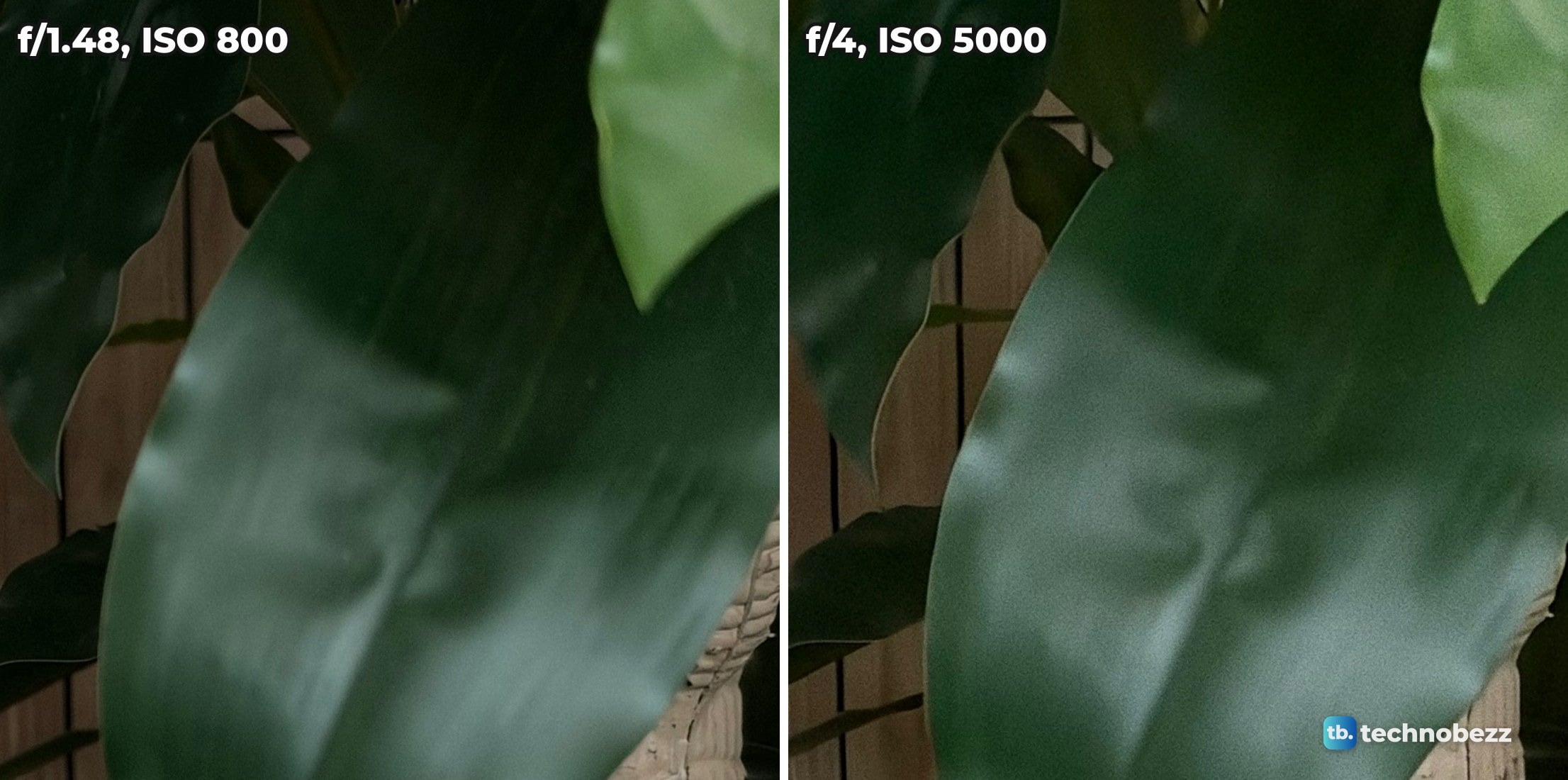 Full-size crops of the same green leaf, smooth at f/1.48 and ISO 800 on the left, visibly grainy at f/4 and ISO 5000 on the right