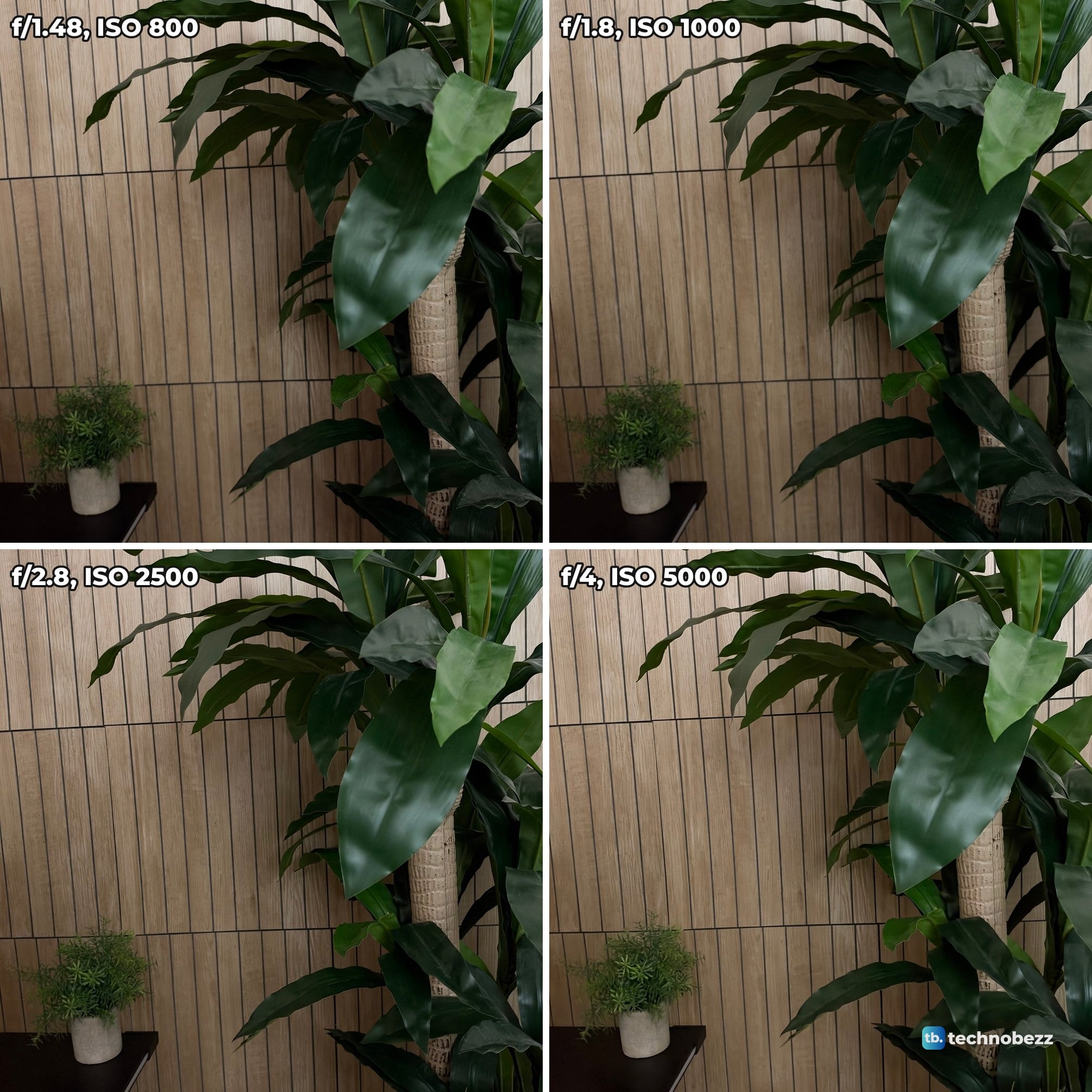 Four photos of a tall indoor plant in front of a slatted wood wall at f/1.48, f/1.8, f/2.8 and f/4, all about equally bright