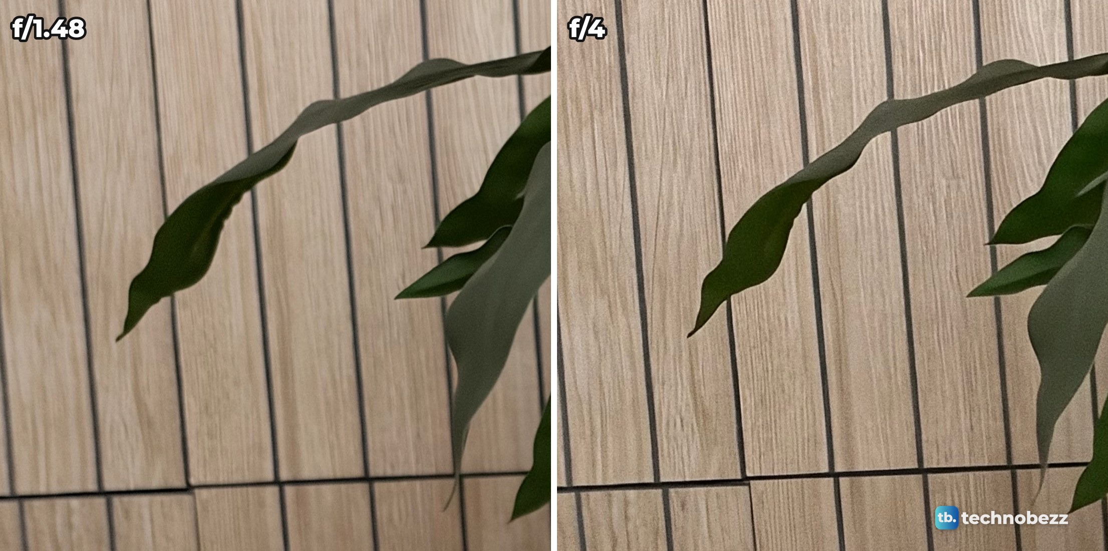 Full-size crops of a slatted wood wall behind a leaf, soft at f/1.48 on the left and sharp with visible wood grain at f/4 on the right
