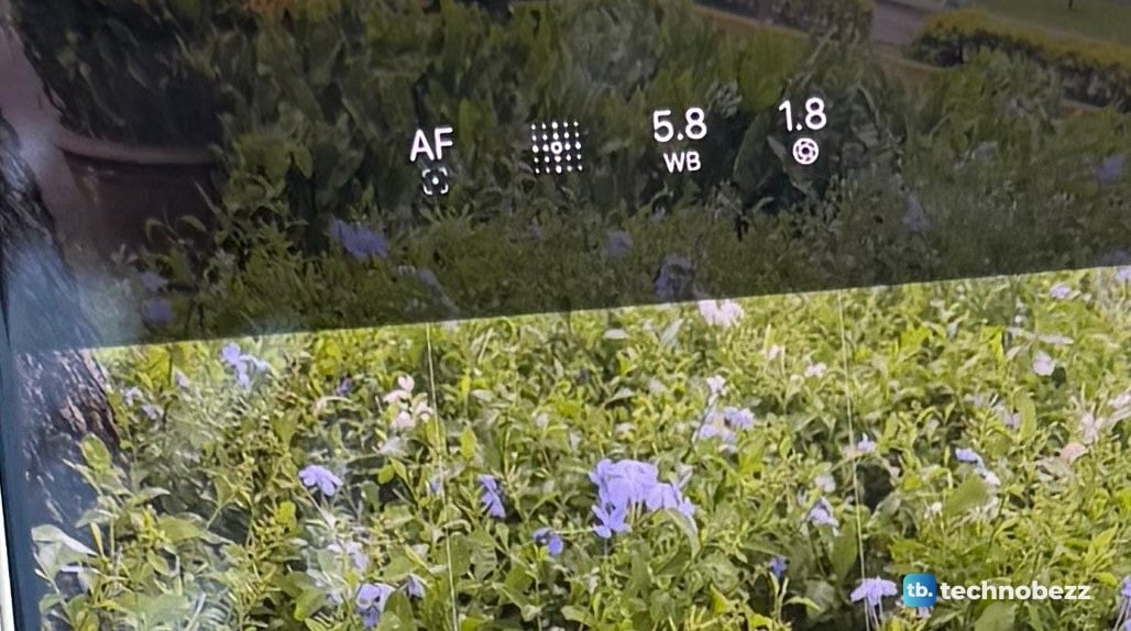Close-up of the top of the iPhone 18 Pro Max Camera app showing AF, a white balance reading of 5.8 and an aperture reading of 1.8 above the frame