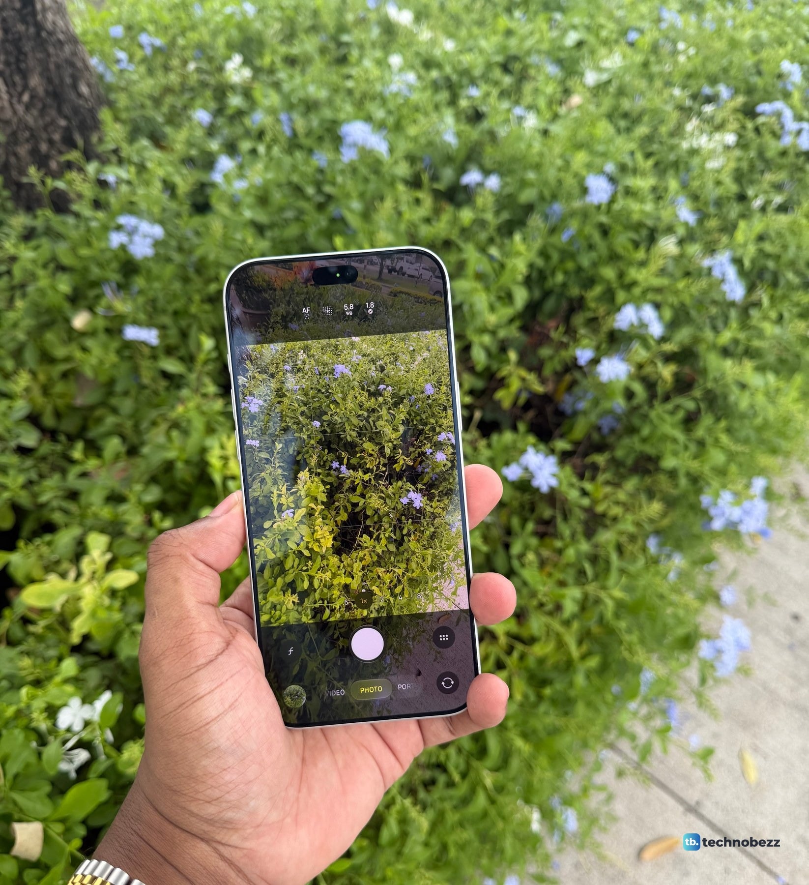 A hand holding the iPhone 18 Pro Max with the Camera app open in Photo mode over a hedge with blue flowers