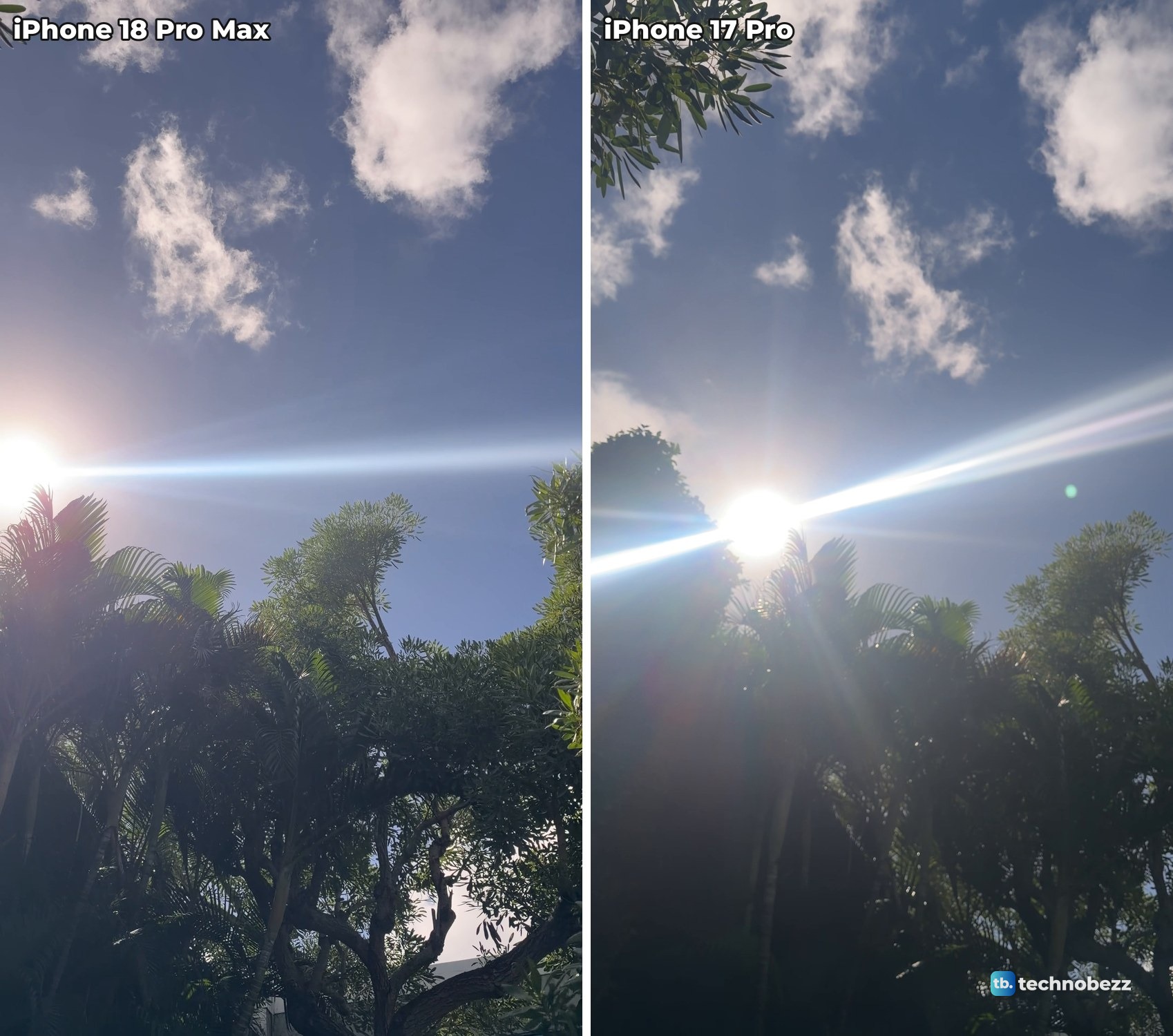 Two video frames looking up past trees toward the sun, each with a bright streak of lens flare across the frame, iPhone 18 Pro Max on the left and iPhone 17 Pro on the right