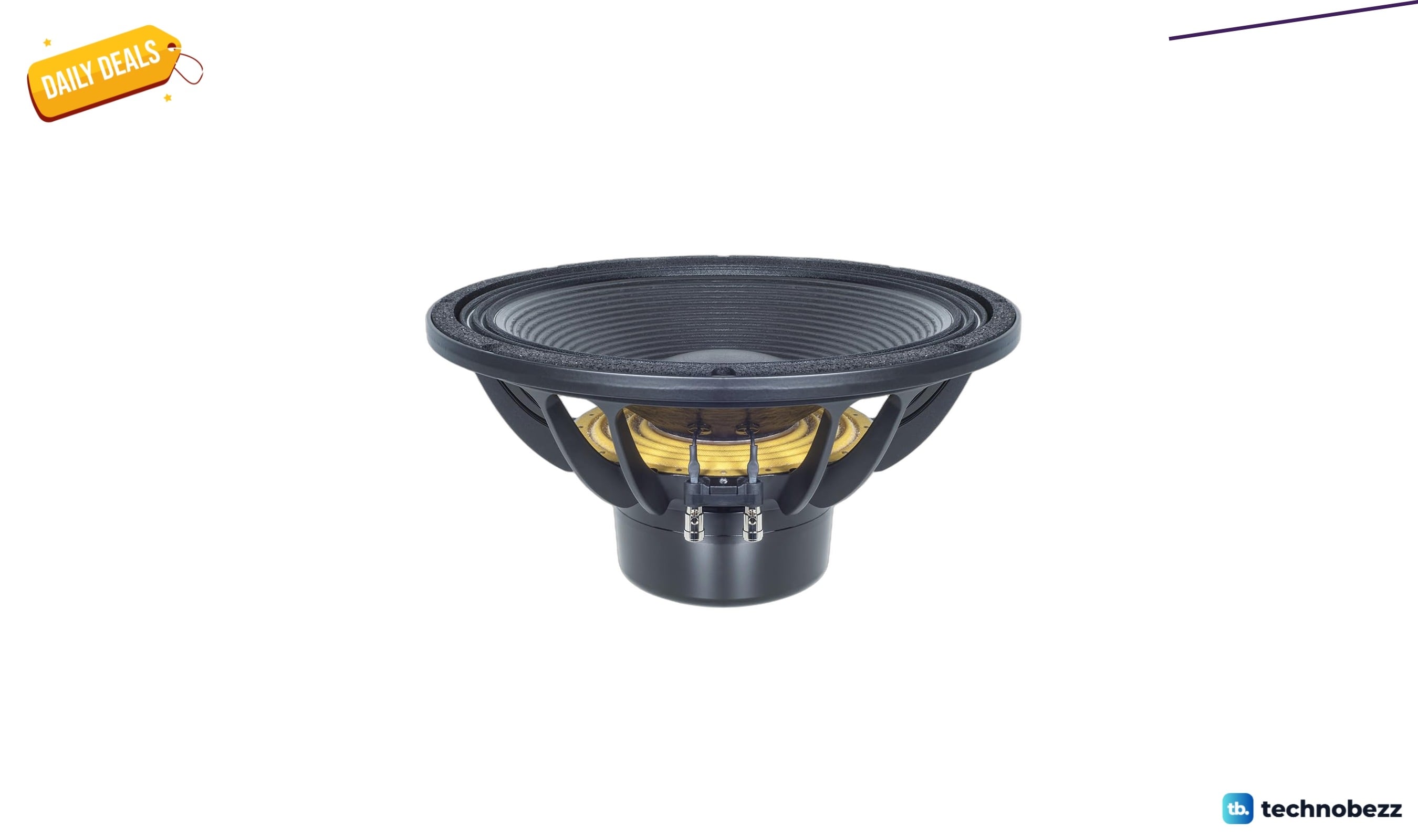 B&C Speakers 15DS100 Subwoofer Woofer Cone TWP drops to $360.35