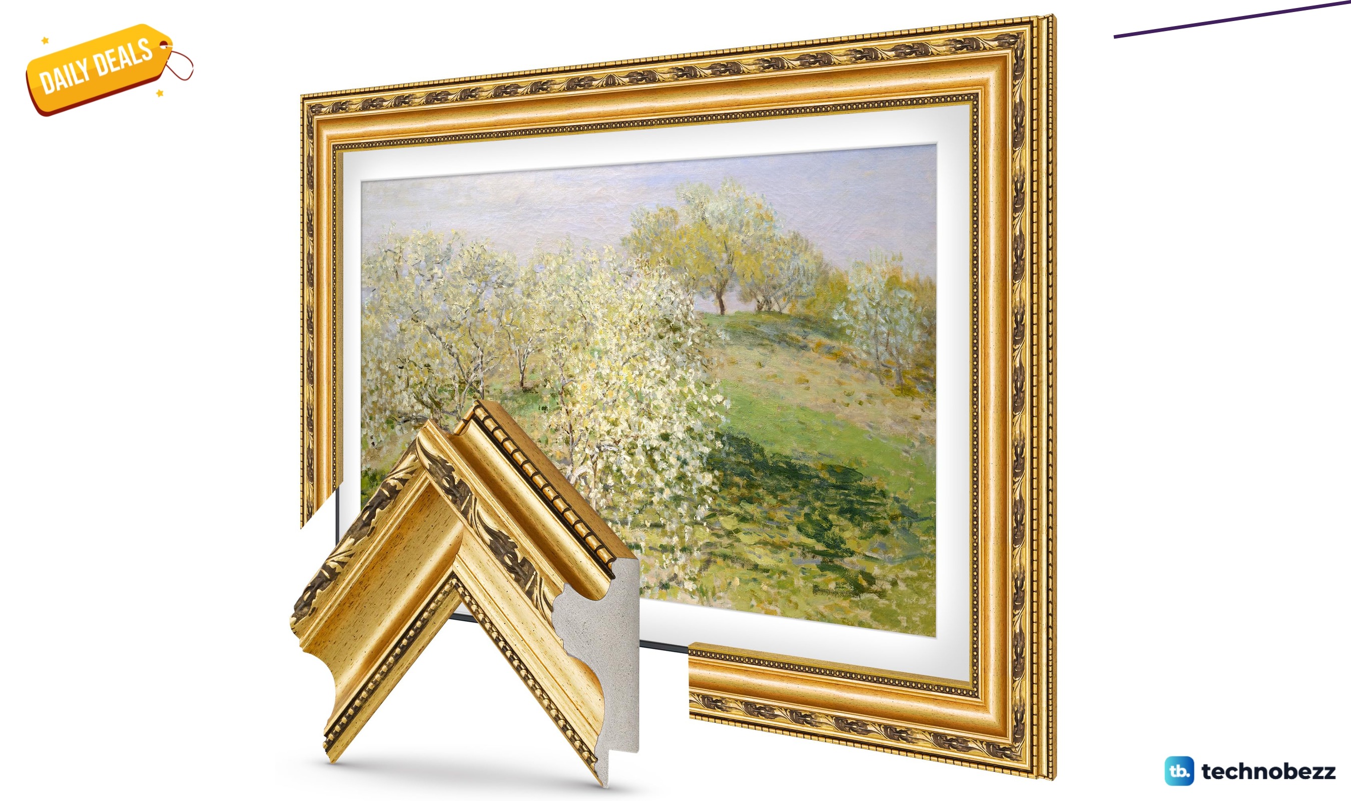Ornate Gold 55-inch Deco TV Frame now $479.20, down from $599