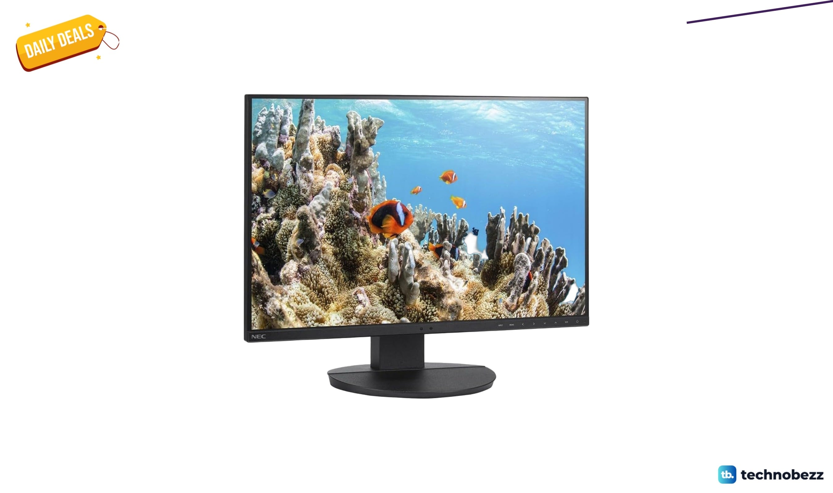NEC 24 inch Widescreen Desktop Monitor drops to $383.66 on Amazon