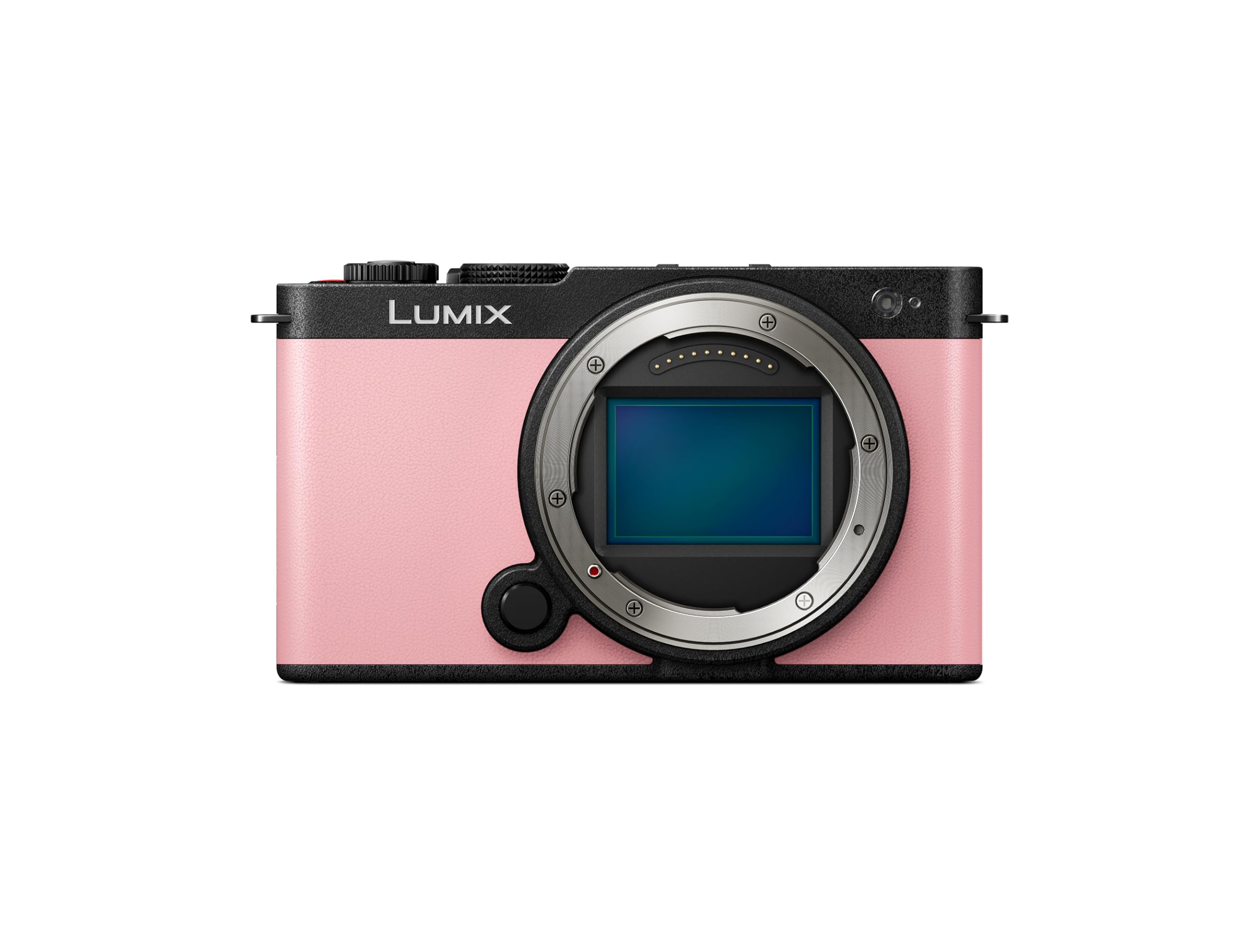Panasonic LUMIX S9 Full-Frame Mirrorless Camera, Compact