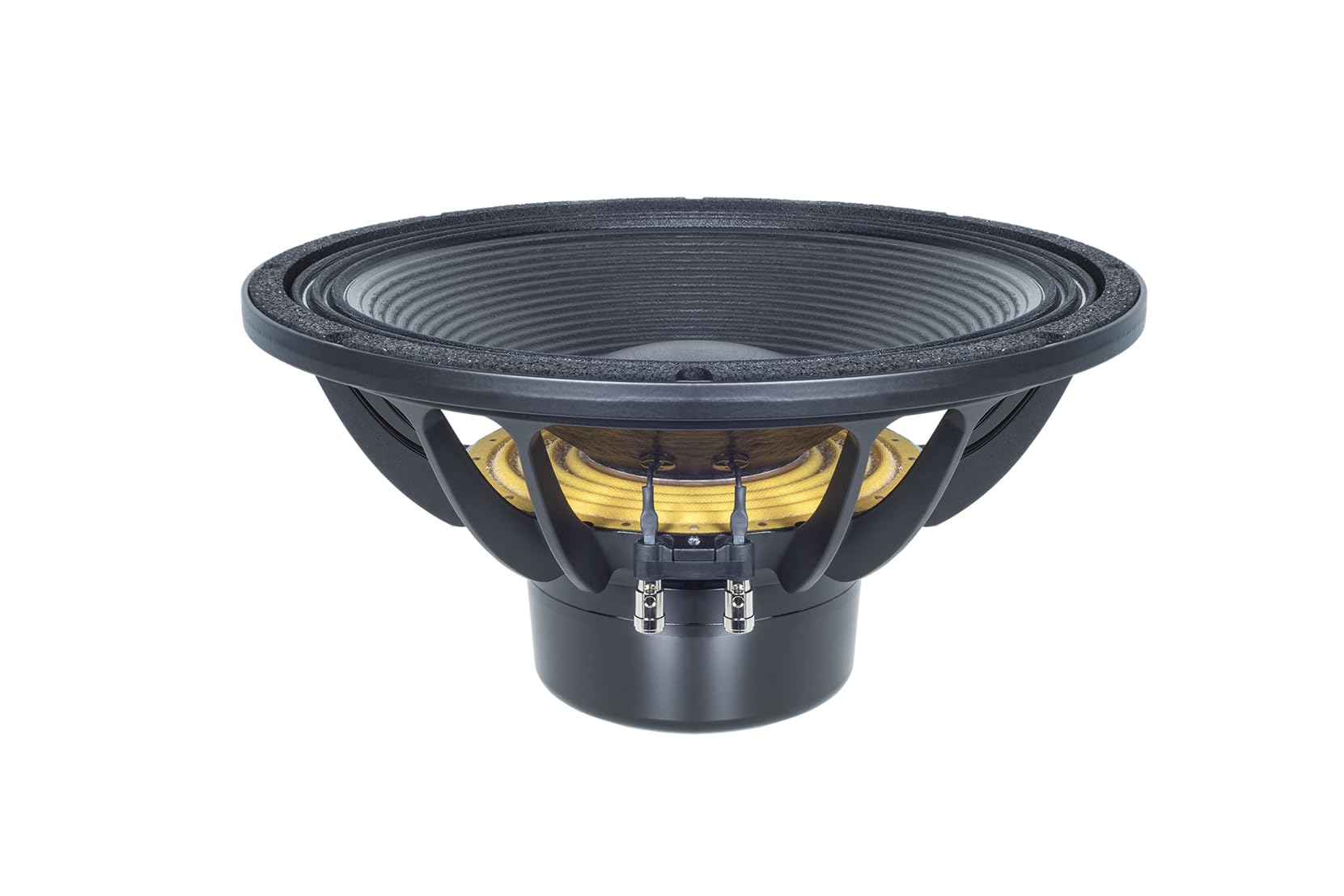 B&C Speakers 15DS100 Subwoofer Woofer Cone TWP