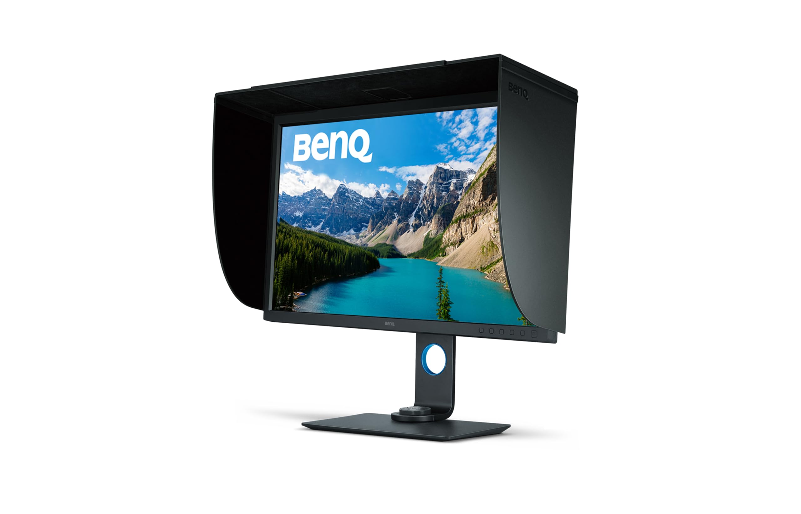 BenQ SW320 31.5